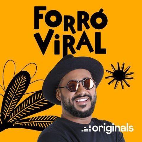baixar música pijaminha raí saia rodada forró viral mp3 320kbps download